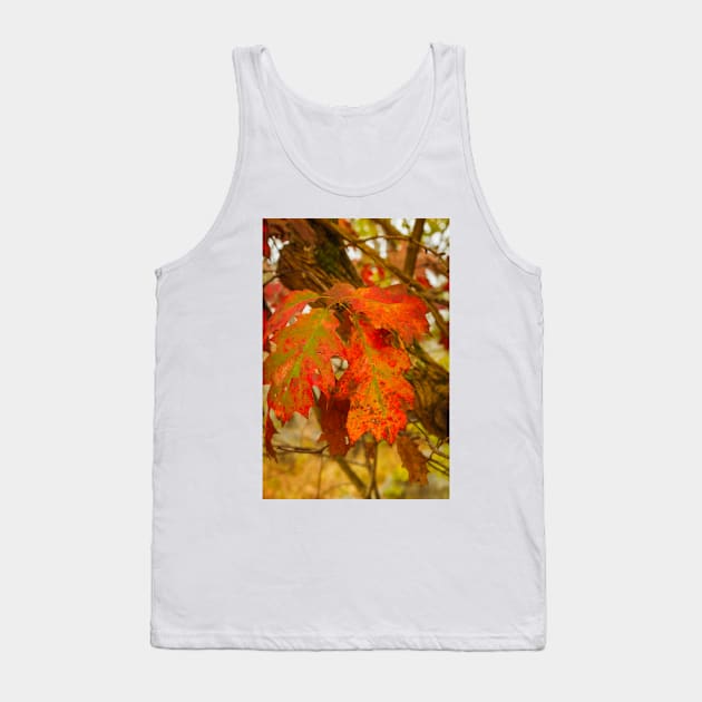 Dying Oak Leaves Tank Top by thadz